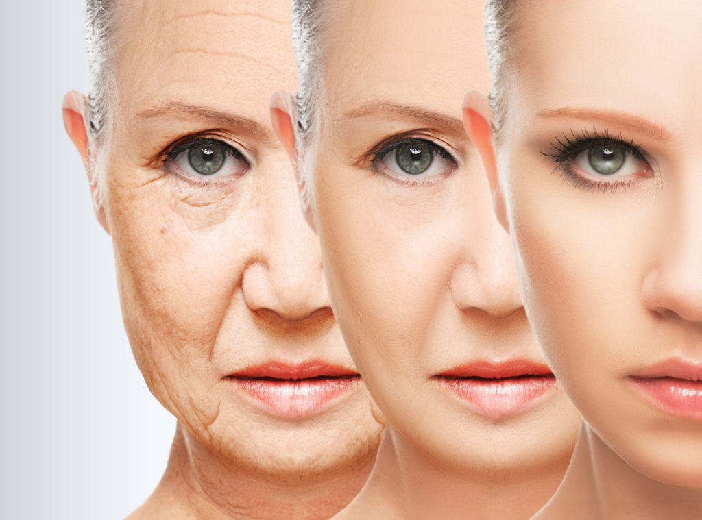 Fibroblastos alogénicos regeneración — Seleah Zona Esmeralda